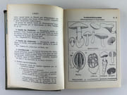 Les champignons de France, 3e édition. Les champignons comestibles et vénéneux. Tome 1. 112 planches coloriées, d'après les aquarelles de Mlle J. Boully et de Mr Porchet.  Encyclopédie pratique du naturaliste XXII & XXIII. par A. MAUBLANC - Image 3