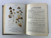Les champignons de France, 3e édition. Les champignons comestibles et vénéneux. Tome 1. 112 planches coloriées, d'après les aquarelles de Mlle J. Boully et de Mr Porchet.  Encyclopédie pratique du naturaliste XXII & XXIII. par A. MAUBLANC - Image 4
