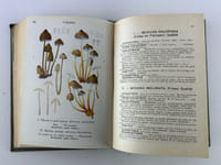 Les champignons de France, 3e édition. Les champignons comestibles et vénéneux. Tome 1. 112 planches coloriées, d'après les aquarelles de Mlle J. Boully et de Mr Porchet. Encyclopédie pratique du naturaliste XXII & XXIII.