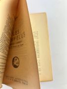 LES FARFELUS. Roman Camique avec 32 dessins de l'auteur par Pierre-Henri CAMI - Image 3