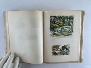 De Goupil a Margot. Histoires de bêtes. Gravures en couleur sur bois de Lucien De Jaegher. Collection Les Gloires Littéraires n° 30 par Louis PERGAUD - Image 11