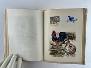 De Goupil a Margot. Histoires de bêtes. Gravures en couleur sur bois de Lucien De Jaegher. Collection Les Gloires Littéraires n° 30 par Louis PERGAUD - Image 12