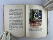 De Goupil a Margot. Histoires de bêtes. Gravures en couleur sur bois de Lucien De Jaegher. Collection Les Gloires Littéraires n° 30 par Louis PERGAUD - Image 7