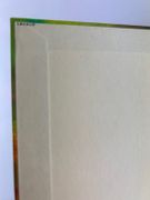 Le Problème Humain. Etudes métaphysiques - Pensée. Nature.  par P. OSORIO - Image 2