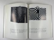 (RELIURE) Pierre-Lucien Martin. Catalogue d'exposition, du 7 février au 28 mars 1987. par (Pierre-Lucien MARTIN) Rédigé par Claude Blaizot avec la collaboration de Georges Bernard. Introduction par François Chapon. Avant-propos de Henri Paricaud. - Image 7