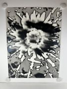 Photographie originale signée. SOLARISATION. par Claire LEJEUNE (1926-2008) - Image 1