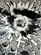 Photographie originale signée. SOLARISATION. par Claire LEJEUNE (1926-2008) - Image 2