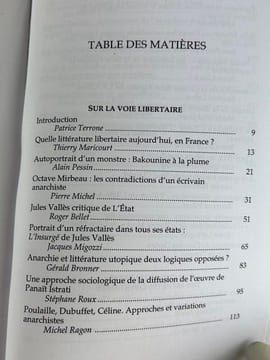 Littérature et anarchie. Alain Pessin et Patrice Terrone