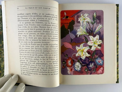 La fleur et son parfum. Edition originale ornée de douze aquarelles de l'auteur.. Jean de BOSSCHERE (Boschère)