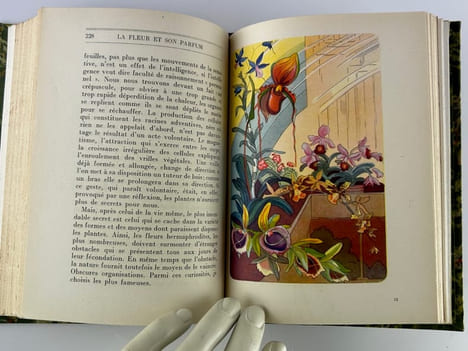 La fleur et son parfum. Edition originale ornée de douze aquarelles de l'auteur.. Jean de BOSSCHERE (Boschère)