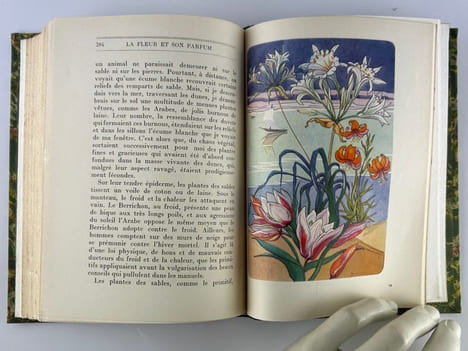 La fleur et son parfum. Edition originale ornée de douze aquarelles de l'auteur.. Jean de BOSSCHERE (Boschère)