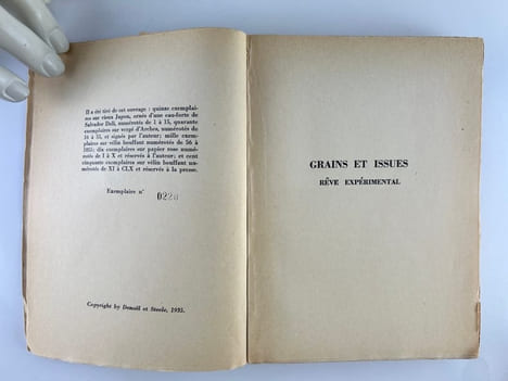 GRAINS ET ISSUES. Rêve expérimental. Tristan TZARA