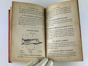 La Cuisinier Durand - Cuisine du Midi et du Nord. 10e édition revue, corrigée et augmentée. par C. DURAND, Maître-d'Hôtel, petit-fils de l'auteur. - Image 6