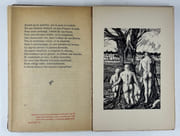 LES SEMAILLES. Poèmes et Dessins par Géo Drains.  par Geo DRAINS - Image 5