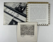 Bruno Hadjadj. Catalogue d'exposition. Cirque - Mondanités - Topless - Billard - Carrelages - Dessins. Un des 200 ex. du tirage de tête comprenant une gravure originale. par Bruno HADJADJ. Préface de Dominique Farrugia & Rafaël Gillard-Dayspagne - Image 1