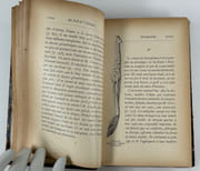 Au sud de l'Afrique. Préface de M. Raoul Allier. Avec 152 dessins et croquis de l'auteur. par Frédéric CHRISTOL (1850-1933 peintre français, missionnaire protestant au Lesotho puis pasteur à Pantin et Noisy-le-Sec. Écrivain, ethnologue et anthropologue) - Image 3