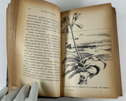 Au sud de l'Afrique. Préface de M. Raoul Allier. Avec 152 dessins et croquis de l'auteur. par Frédéric CHRISTOL (1850-1933 peintre français, missionnaire protestant au Lesotho puis pasteur à Pantin et Noisy-le-Sec. Écrivain, ethnologue et anthropologue) - Image 5