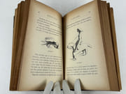 Au sud de l'Afrique. Préface de M. Raoul Allier. Avec 152 dessins et croquis de l'auteur. par Frédéric CHRISTOL (1850-1933 peintre français, missionnaire protestant au Lesotho puis pasteur à Pantin et Noisy-le-Sec. Écrivain, ethnologue et anthropologue) - Image 6