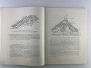 Himalaya du Népal. Mission scientifique genevoise. Rapports sur les travaux de la mission scientifique déléguée par les autorités cantonales et municipales de Genève mars-juillet 1952. Les textes sont accompagnés de 56 illustrations, 2 croquis et 5 cartes. JOINT : Herborisation dans l'Himalaya par Albert Zimmermann. Tiré à part de "Alpes-Neiges-Roc" n°9 1955. 7 pages. Un tirage argentique au format  29x23cm. par Marguerite. LOBSIGER- Augustin LOMBARD- Albert ZIMMERMANN - Image 4