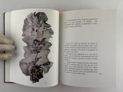Emergences - Résurgences. par Henri MICHAUX - Image 7