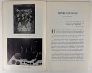 Henri Rousseau dit "Le Douanier". Exposition de son cinquantenaire. Galerie Charpentier 1961 par Le Douanier Rousseau - Image 2