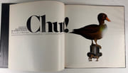 Chut ! Texte et illustrations de Patrick Couratin. par Patrick COURATIN - Image 3