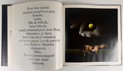 Chut ! Texte et illustrations de Patrick Couratin. par Patrick COURATIN - Image 5