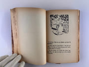 Chez les fous. Dessins de Rouquayrol. par Albert LONDRES - Image 5
