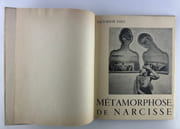 Métamorphose de Narcisse par Salvador DALI - Image 1