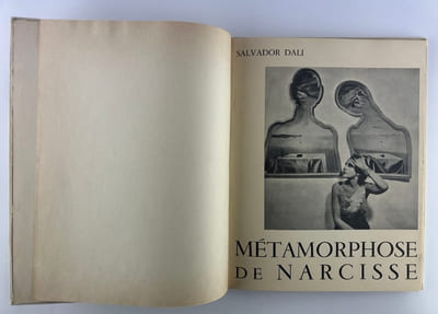 Métamorphose de Narcisse
