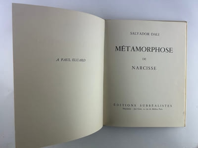 Métamorphose de Narcisse