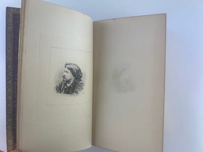 Lettres de mon moulin. Edition de luxe illustrée de 4 planches hors-texte, d'un double portrait de l'auteur et d'un frontispice historié par F. Buhot