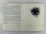 Jean Alllemand Catalogue d'exposition Galerie L55, du 24 octobre au 14 novembre 1973.  par Jean ALLEMAND - Image 3