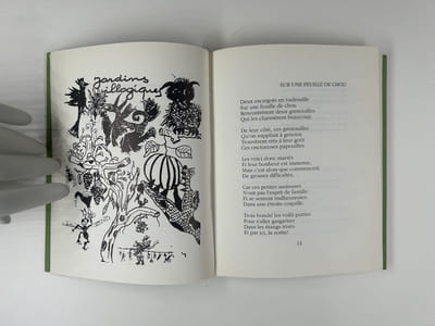 Feuilles de chou. Dessins de l'auteur. 