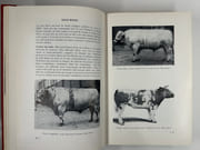 Manuel technique pour Bouchers et Charcutiers par Vivtor VINCK - Image 4