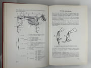 Manuel technique pour Bouchers et Charcutiers par Vivtor VINCK - Image 5