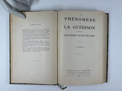 Le phénomène de la guérison dans les maladies infectieuses. 