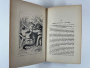 Les enfants des bois par MAYNE REID - Image 8