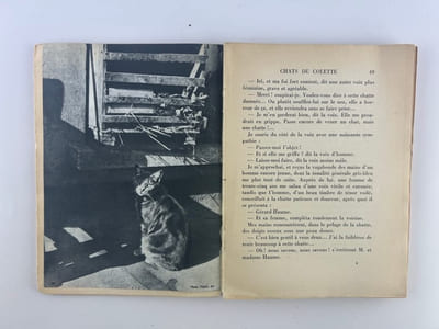 Chats de Colette