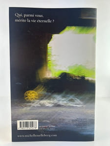 La possibilité d'une île