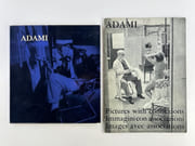 Adami  par Valerio ADAMI. Texte de Pierre Gaudibert, Carlos Fuentes, Alain Jouffroy, Henry Martin, Gérlad Gassiot-Talabot. - Image 1