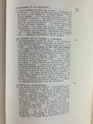 La vie érotique pendant la guerre par Docteur Charles Henri FISHER - Image 5