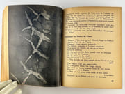 Anthologie de la Poésie Naturelle. Astronome public, Louis Billard, Auguste Boncors, Jean-Paul Brisset, Gaston Chaissac, Ferdinand Cheval, Contes, Léon Corcuff, Harry Dickson, Enfants, Achille Fournier, Charles Gounod, J. Izalier, Machines, Alphonse d'Aymeric Marcailhou, Marie, Louis Perrot, R2cits monosyllabiques, Répertoire des Sectes, Rivet, Henir Rousseau, Hélène Smit, Gabriel Toutin, Un vieux soleil, Robert Vandelanotte, Damouré Zika. par Collectif. Documents réunis et présentés par Camille Bryen et Alain Gheerbrant. Huit photographies de Brassaï. - Image 4