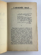 L'araignée mâle. Scènes de la vie à Hollywood par Carl VAN VECHTEN. Traduit de l'anglais par Maurice Rémon - Image 5