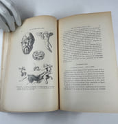 Monstres dans l'art. Etres humains - Animaux - Bas-reliefs - Rinceaux - Fleurons. Accompagnés de 432 planches ou figures.  par Edmond VALTON - Image 4