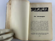 (HOMOSEXUALITE) Le troisième sexe (Le 3e sexe) par WILLY. Introduction de Louis Estève - Image 6