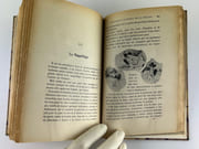 Le Bréviaire de la Femme. Pratiques secrètes de la beauté. Edition illustrée. par Comtesse de TRAMAR - Image 9