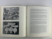(Art Brut) Slavko Kopac. Rétrospective 1936-1981 (peinture, sculpture, céramique) 21 octobre - 21 novembre 1981 Paris Art center. OUVRAGE ORNÉ D'UNE OEUVRE ORIGINALE SIGNÉE SUR LA COUVERTURE. par Slavko KOPAC. Textes de Joja Ricov, Benjamin Peret, Michel Ragon, Jean Dubuffet, Radovan Ivsic, Françoise Choay - Image 5