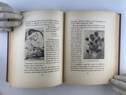 Vincent Van Gogh par Texte de Florent FELS - Image 11