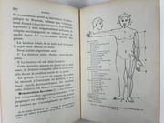 Guide du naturaliste préparateur et du voyage scientifique. 3e édition entièrement refondue par le Dr Georges Bohn. Recherche, récolte, transport et conservation des minéraux, des organismes fossiles et des organismes vivants, Préparation et conservation des collections, Etudes anthropologiques.  par G. CAPUS. Introduction par Edm. Perrier - Image 5